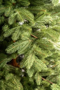 Artificial Christmas tree Islanda 2.1 m 3