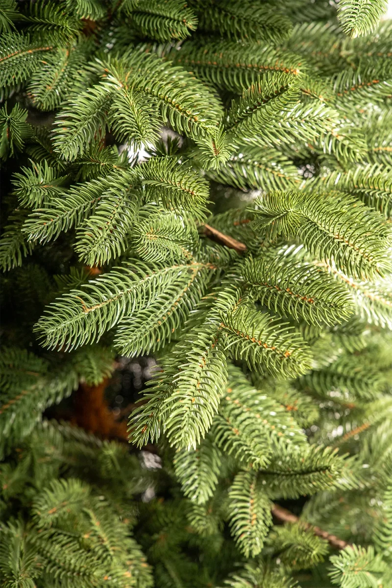 Artificial Christmas tree Islanda 2.1 m 3