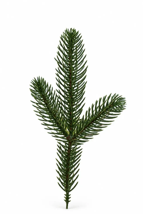 Artificial Fir Needle No. 3-01