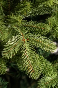 Artificial Christmas tree Noel New 2.4 m 3