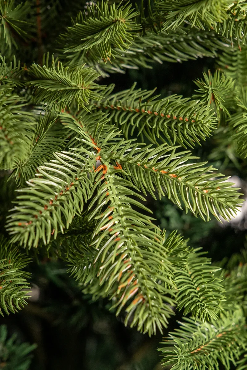 Artificial Christmas tree Noel New 2.4 m 3