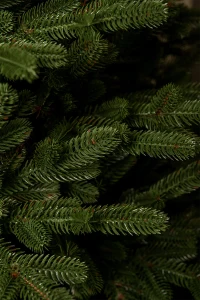 Artificial Christmas tree Imperial 2 m 3