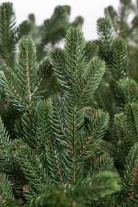 Artificial Christmas tree Imperial 2.4 m 3