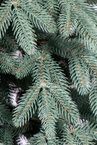 Artificial Christmas tree Premium Blue 2.2 m 3